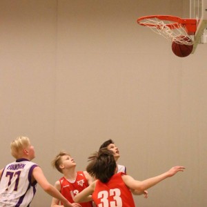 12966482_10206325623755801_617441068_n